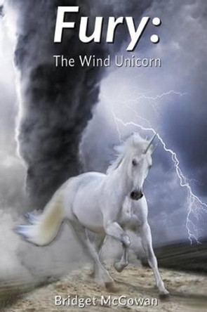 Fury: The Wind Unicorn Jeffrey L Price 9781539955344