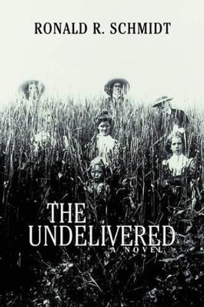 The Undelivered Ronald R Schmidt 9780595468393