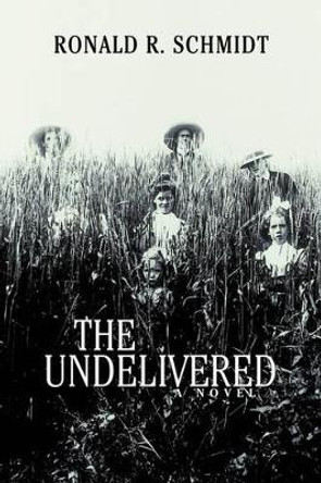 The Undelivered Ronald R Schmidt 9780595706174