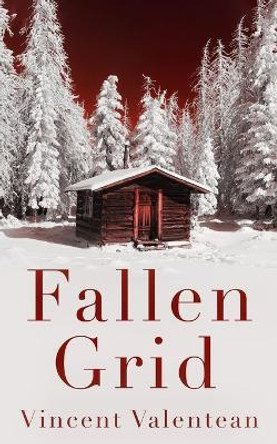 Fallen Grid Vincent Valentean 9798372327382