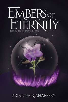 Embers of Eternity Brianna R Shaffery 9798986173245