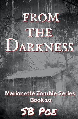 From the Darkness by S B Poe