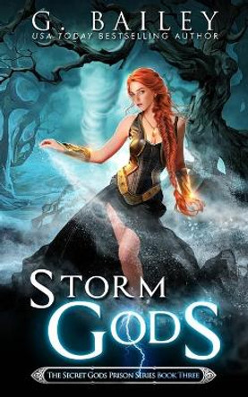 Storm Gods G Bailey 9798667350163