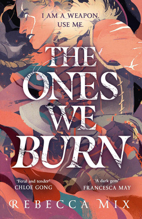 The Ones We Burn: the New York Times bestselling dark epic young adult fantasy Rebecca Mix 9781399706254