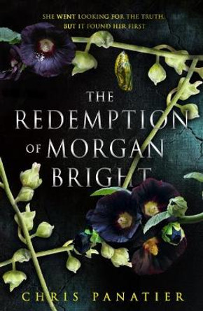 The Redemption of Morgan Bright Chris Panatier 9781915202895