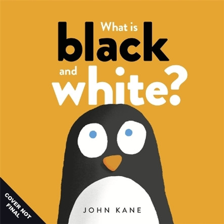What is Black and White? John Kane 9781800782303
