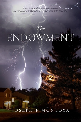 The Endowment by Joseph F Montoya
