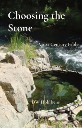 Choosing the Stone: A 21st Century Fable Dw Hohlbein 9780578920740