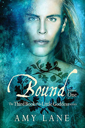 Bound, Vol. 1 Amy Lane 9781634761192