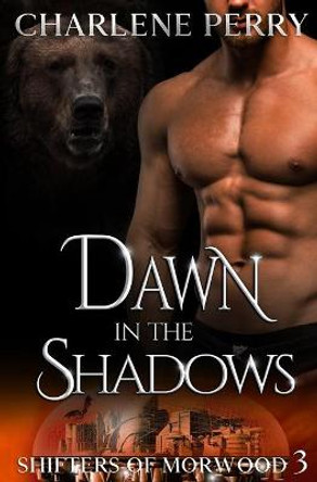 Dawn in the Shadows Charlene Perry 9798737228040