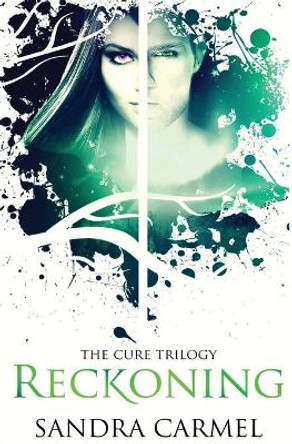 Reckoning by Sandra Carmel