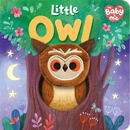 Little Owl Igloo Books 9781837954827