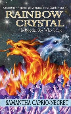 Rainbow Crystal: The Special Boy Who Could Samantha Caprio-Negret 9781509253470