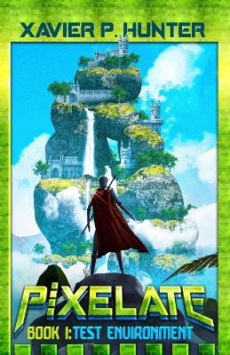 Test Environment: A LitRPG fantasy book Xavier P Hunter 9781643553191