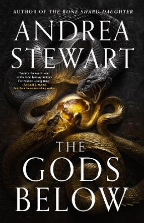 The Gods Below Andrea Stewart 9780356520674