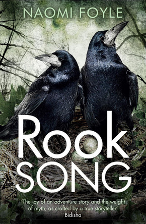 Rook Song: The Gaia Chronicles Book 2 Naomi Foyle 9781782069218