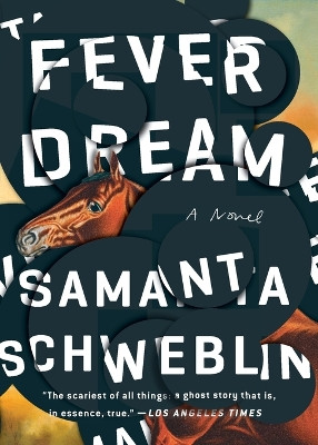 Fever Dream by Samanta Schweblin