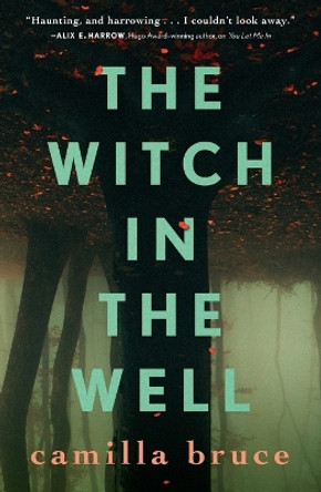 The Witch in the Well Camilla Bruce 9781250302076