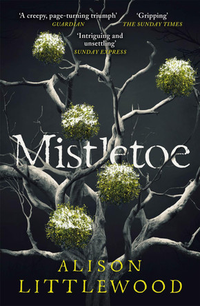 Mistletoe: 'The perfect read for frosty nights' HEAT Alison Littlewood 9781787475892