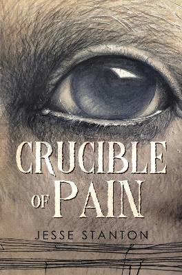 Crucible of Pain by Jesse Stanton