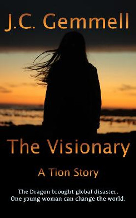 The Visionary: A Tion Story J.C. Gemmell 9781838072872