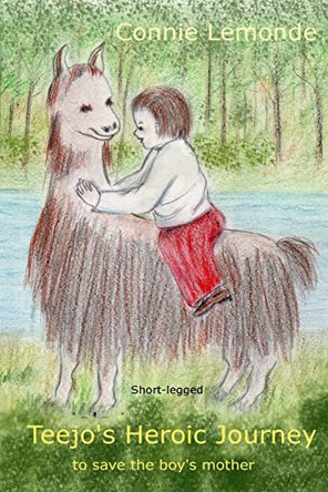Teejo's Heroic Journey by Connie Lemonde