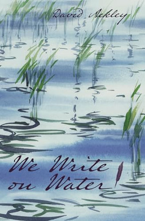 We Write on Water by David Ackley