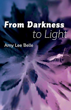 From Darkness to Light by Amy Lee Belle