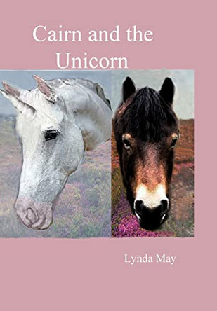 Cairn and the Unicorn by Lynda May