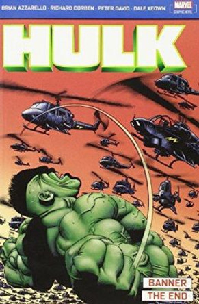 Incredible Hulk: Banner & The End Peter David 9781904159254