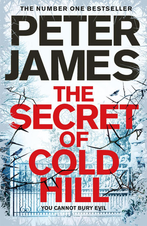 The Secret of Cold Hill Peter James 9781509816231 [USED COPY]