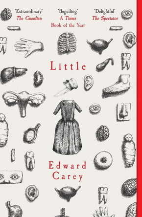 Little ,Edward Carey 9781910709535 [USED COPY]