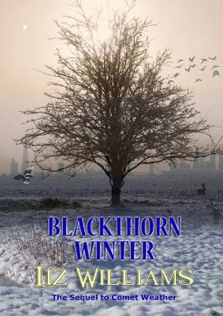Blackthorn Winter Liz Williams 9781912950799