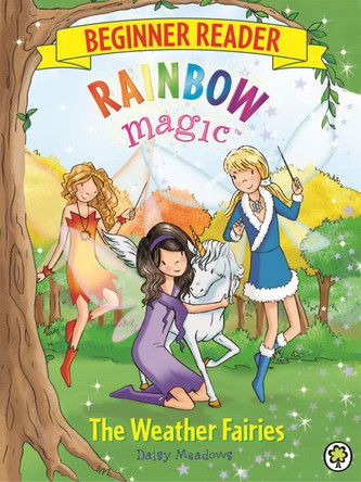 Rainbow Magic Beginner Reader: The Weather Fairies: Book 2 Daisy Meadows 9781408336366 [USED COPY]