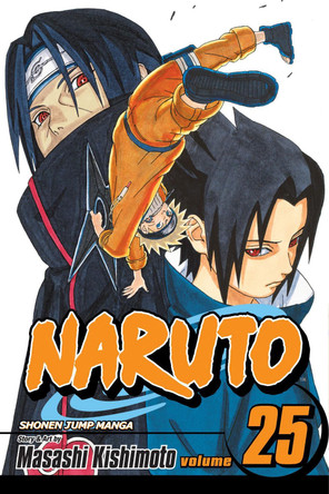 Naruto, Vol. 25 Masashi Kishimoto 9781421518619 [USED COPY]