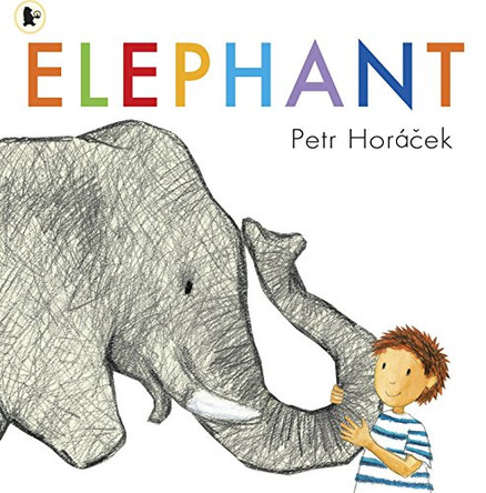 Elephant Petr Horacek 9781406324419 [USED COPY]
