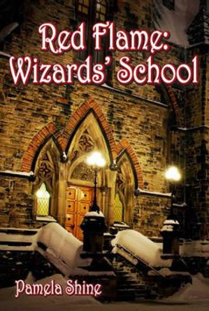 Red Flame: Wizards' School (Second Ed.) Pamela Shine 9781780355887