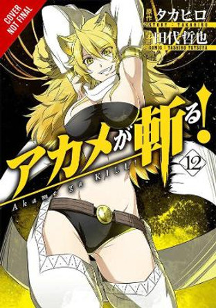 Akame Ga Kill!, Vol. 12 by Takahiro
