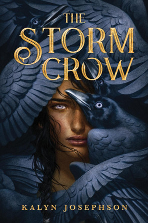The Storm Crow Kalyn Josephson 9781492672937
