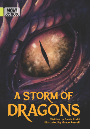 A Storm of Dragons by Sarah Rudd