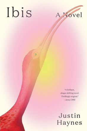 Ibis: A Novel Justin Haynes 9781419772771