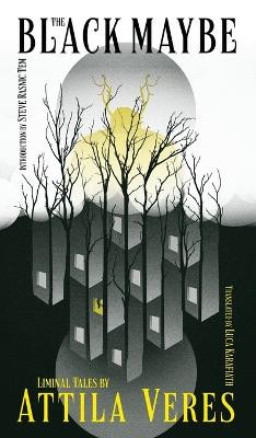 The Black Maybe: Liminal Tales Attila Veres 9781954321694