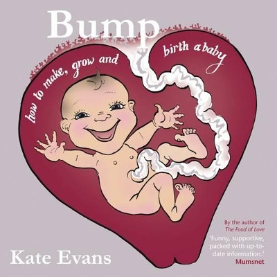 Bump: How to Make, Grow and Birth a Baby Kate Evans 9781908434357 [USED COPY]