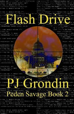 Flash Drive by Pj Grondin