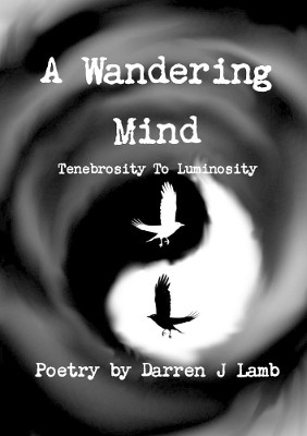 A Wandering Mind Tenebrosity to Luminosity by Darren J Lamb