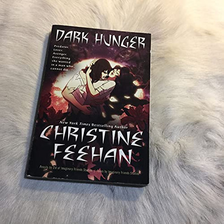 Dark Hunger Christine Feehan 9780425217832 [USED COPY]
