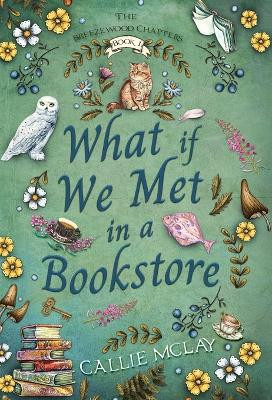 What If We Met In A Bookstore Callie McLay 9798989967025