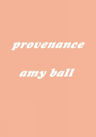 Provenance Amy Ball 9783943196726