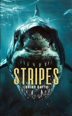 Stripes by Brian Gatto