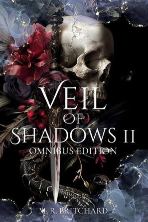 Veil of Shadows II M R Pritchard 9781957709543
